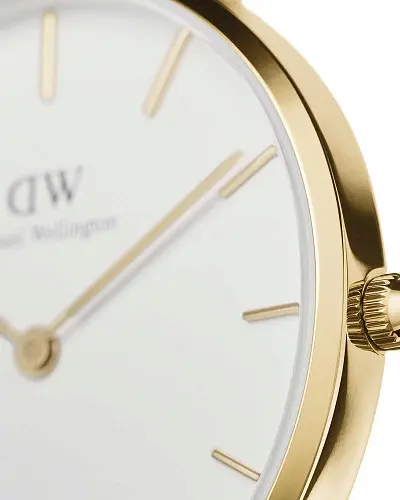 Daniel Wellington Petite Evergold DW00100348