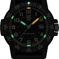 Часы Luminox Leatherback Sea Turtle XS.0329.1 фото 2
