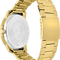 Часы Casio Collection MTP-VD01G-1BVUDF (MTP-VD01G-1B) фото 2
