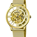 Часы Festina Automatic F20667/1