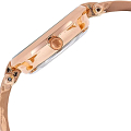 Часы Anne Klein Trend 3916BHRG фото 5