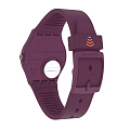 Часы Swatch Gent Swatch Pay! SVHV100-5300 фото 4