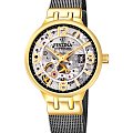 Часы Festina Automatic F20580/2