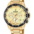 Часы Festina Timeless Chrono F20634/6