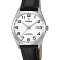 Часы Festina Classics F20446/1