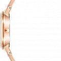 Часы Anne Klein Plastic 4006PKRG фото 2