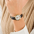 Часы Festina Swiss Made F20011/5 фото 2
