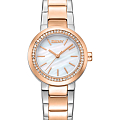 Часы DKNY Eastside Mini DK1L024M0175
