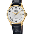 Часы Festina Swiss Made F20011/5
